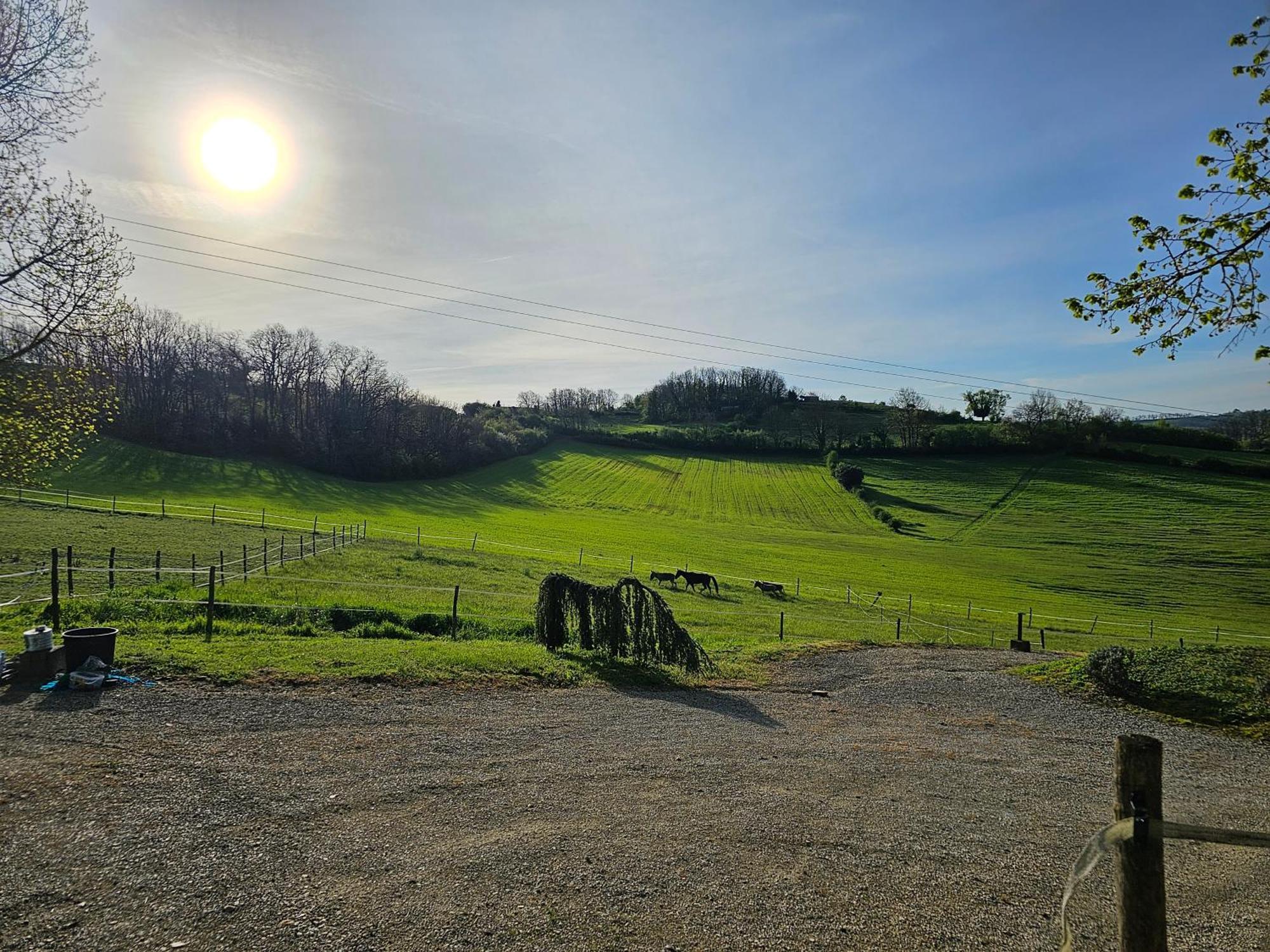 Domaine De Massoulac Molières Buitenkant foto