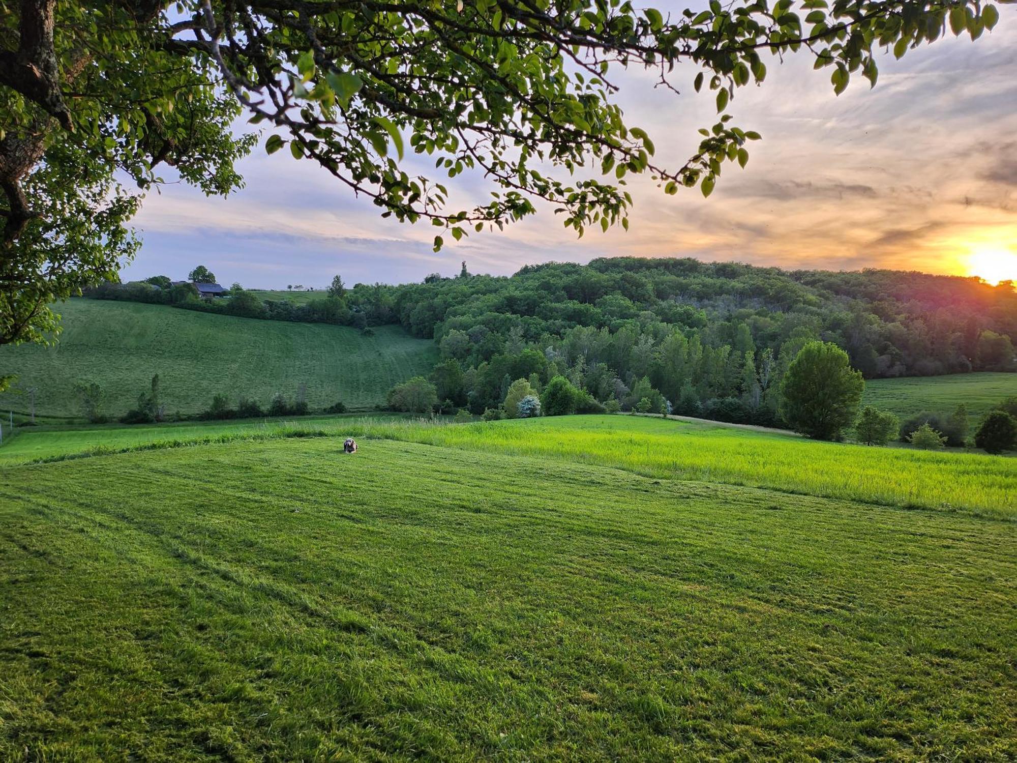 Domaine De Massoulac Molières Buitenkant foto